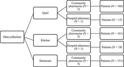 Patient Satisfaction and Their Willingness to Pay for a Pharmacist Counseling Session in Hospital and Community Pharmacies in Saudi Healthcare Settings